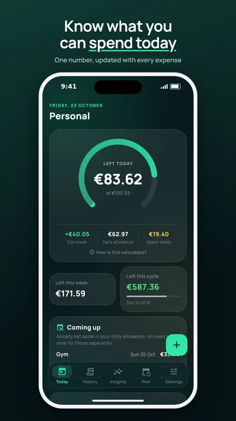 Daily Budget home screen with what's left today, carryover and the daily allowance