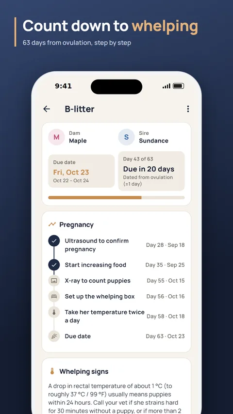 Pregnancy timeline with ultrasound, X-ray, whelping box and the due date